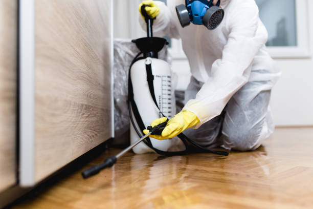 Best Pest Control Near Me  in Wake Forest, NC