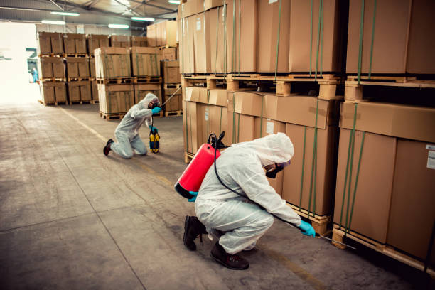 Reliable Wake Forest, NC Pest Control Solutions