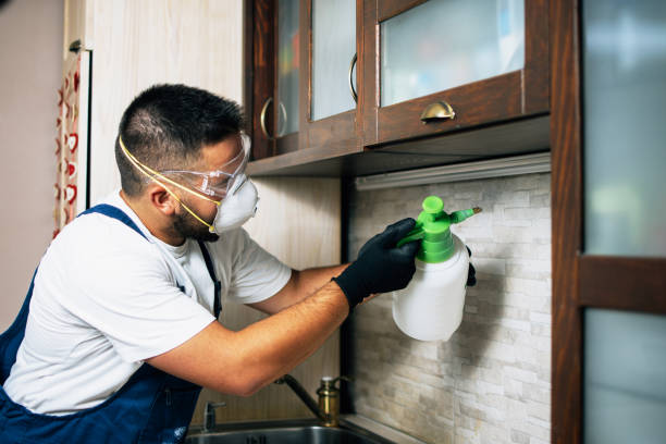 Best Pest Inspection Near Me  in Wake Forest, NC
