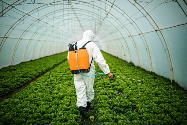 Best Affordable Pest Control Services  in Wake Forest, NC