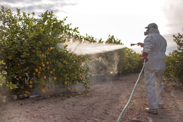 Best Residential Pest Control  in Wake Forest, NC