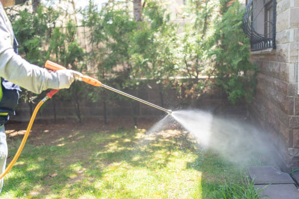 Best Flea Control Services  in Wake Forest, NC