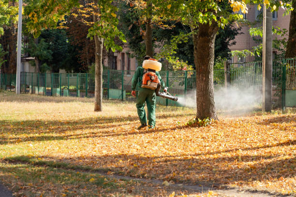 Best Emergency Pest Control  in Wake Forest, NC