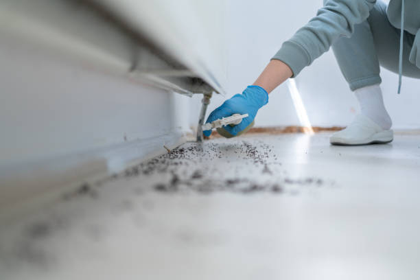 Best Best Pest Control Companies  in Wake Forest, NC